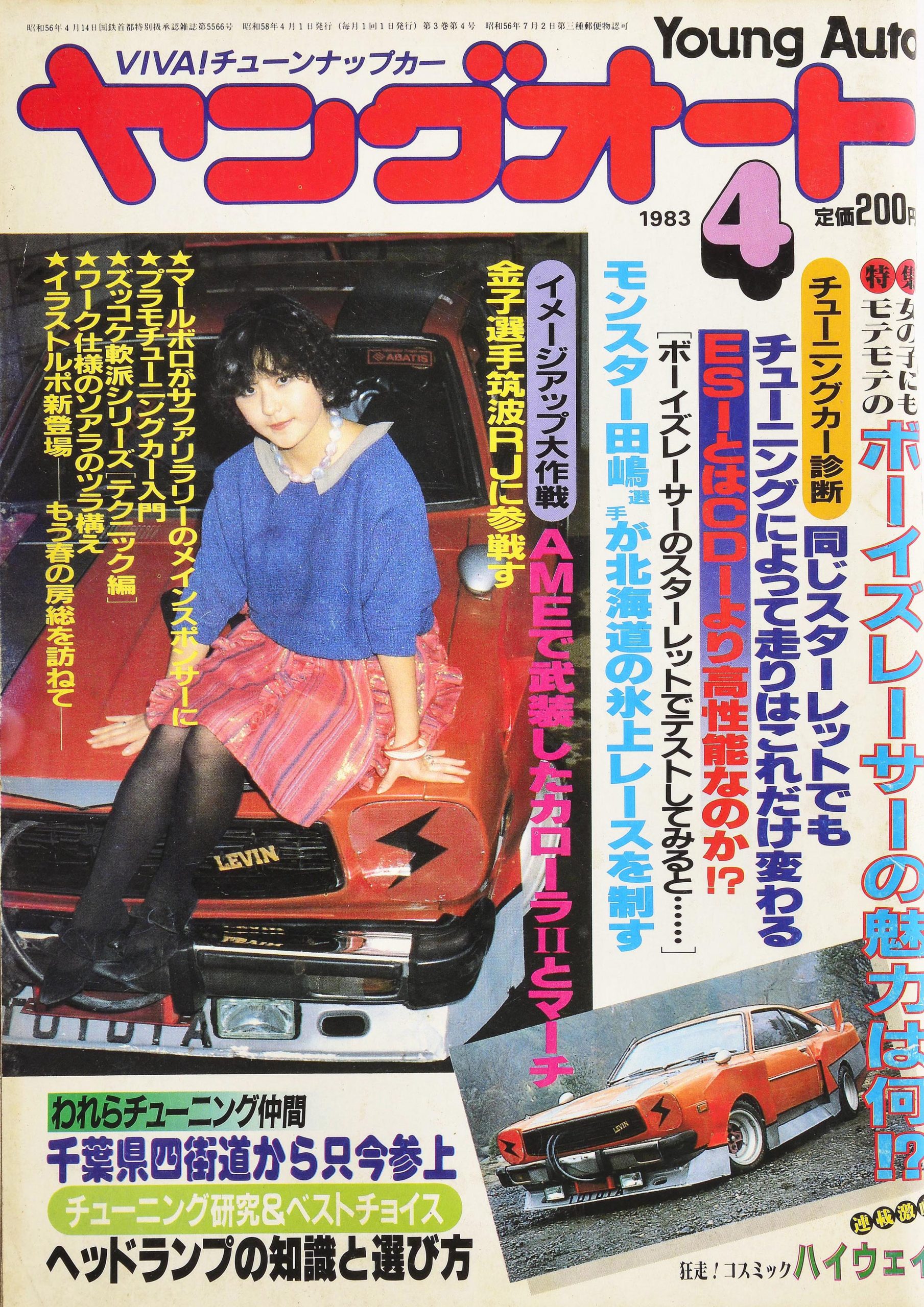 世にも珍しいレビンのシルエット仕様 Ossanauto